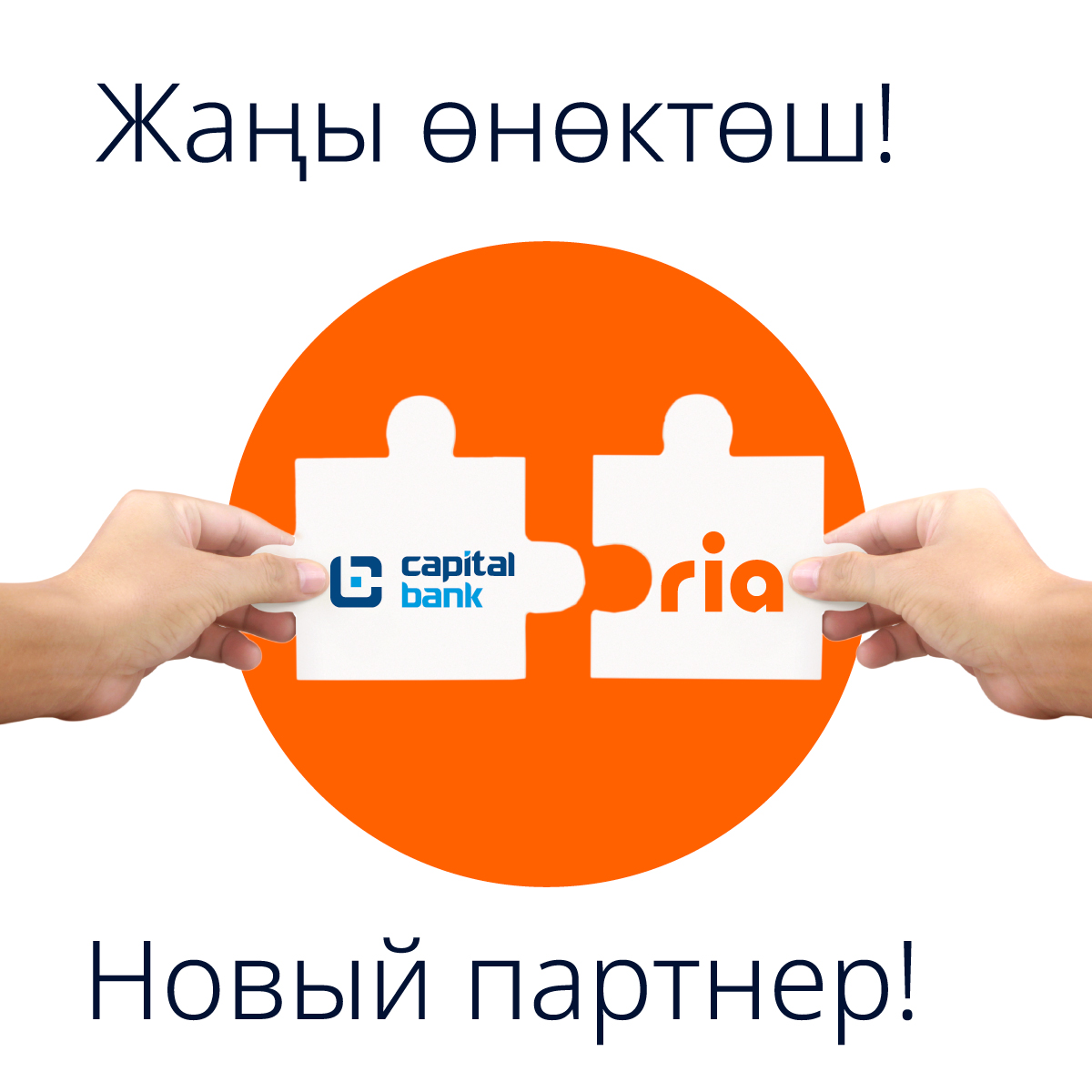 NEW PARTNERS CAPITAL BANK 2