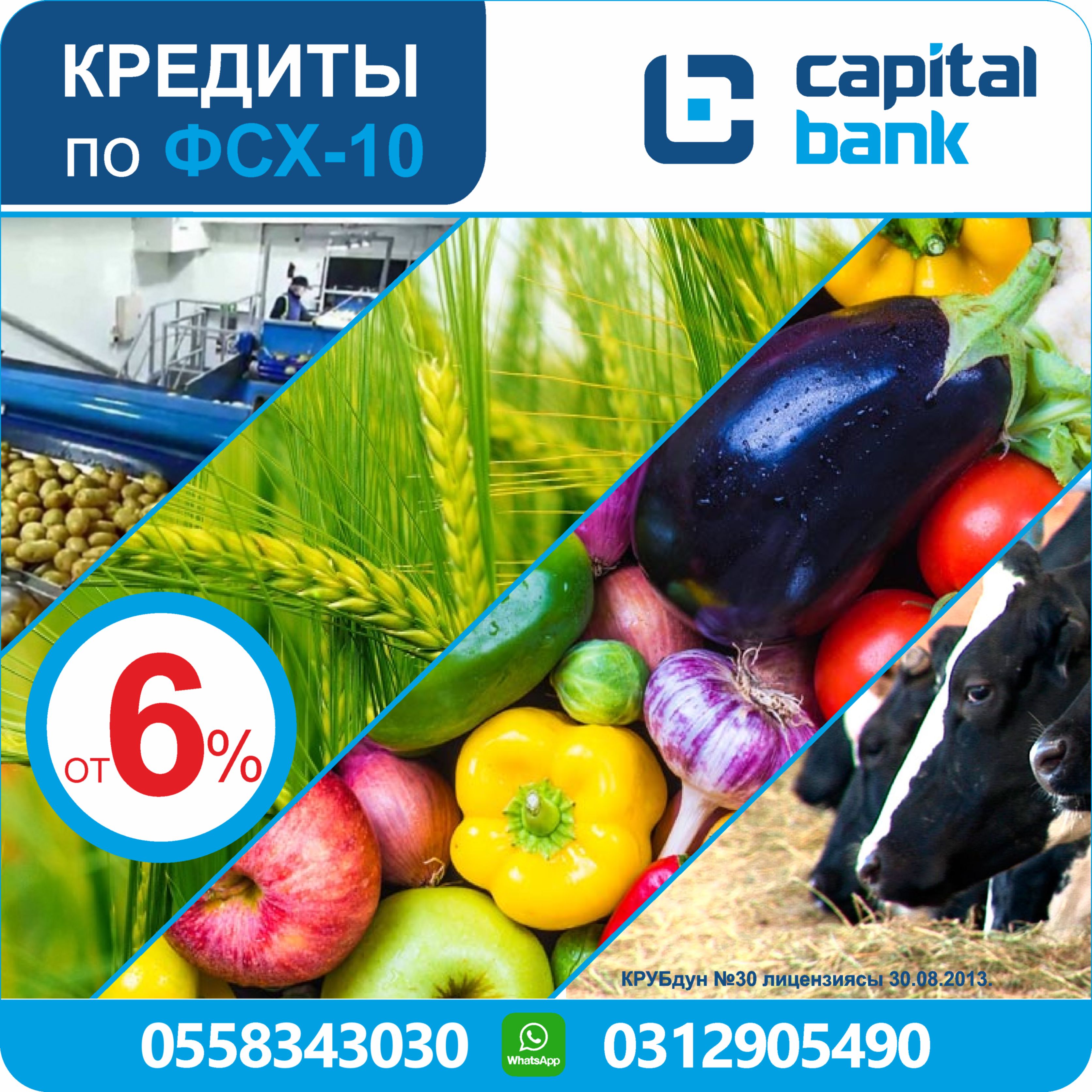 ФСХ кредиты10