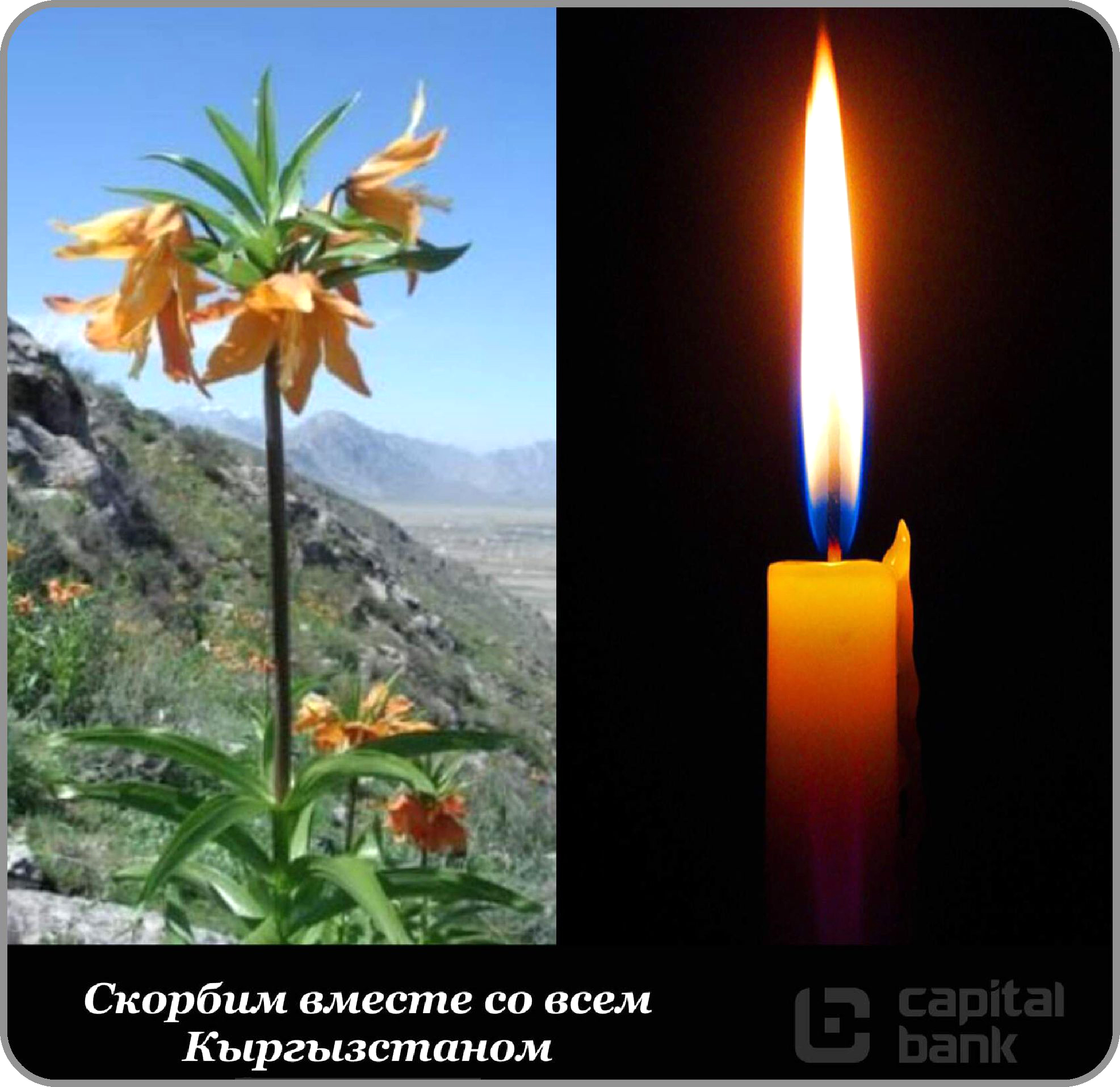 с